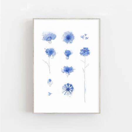 Kunstdruck Kornblumen Blaue Blumen Kunstdruck Geschenk für Mama 30 x 40 cm
