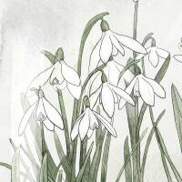 Schneeglöckchen Terrarium Fine Art Print Frühlingsdruck weisse Blumen Kunstdruck DIN A5 (14,8 x 21 cm)