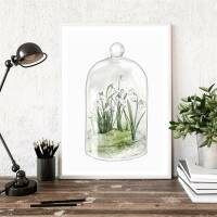 Schneeglöckchen Terrarium Fine Art Print Frühlingsdruck weisse Blumen Kunstdruck DIN A4 (21 x 29,7 cm)