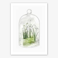 Schneeglöckchen Terrarium Fine Art Print Frühlingsdruck weisse Blumen Kunstdruck DIN A3 (29,7 x 42 cm)