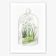 Schneeglöckchen Terrarium Fine Art Print Frühlingsdruck weisse Blumen Kunstdruck 40 x 50 cm