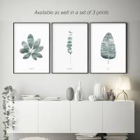 Aquarell Eukalyptus Zweige Kunstdruck Eikalyptus grüner Blatt Kunstdruck Eukalyptus Poster  DIN A4 (21 x 29,7 cm)