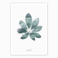 Aquarell Schefflera Arboricola Blatt Kunstdruck botanik Poster grüner Blatt Kunstdruck   DIN A5 (14,8 x 21 cm)