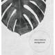 Monstera Blatt in Schwarz-Weiss Kunstdruck Büro Wandkunst moderner Wohnzimmer Kunstdruck DIN A1 (59,4 x 84,1 cm)