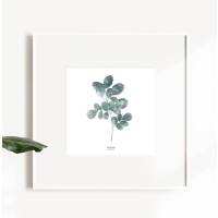 Watercolor moringa leaf print printable leaf art nordic wall art print DIN A5 (14,8 x 21 cm)