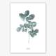 Watercolor moringa leaf print printable leaf art nordic wall art print DIN A2 (42 x 59,4 cm)