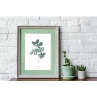 Watercolor moringa leaf print printable leaf art nordic wall art print DIN A1 (59,4 x 84,1 cm)