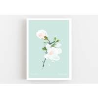 Magnolienblüte geöffnet Kunstdruck Weisse Frühlingsblume Druck DIN A4 (21 x 29,7 cm)