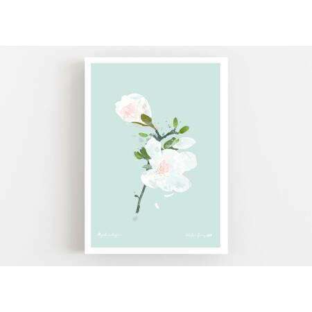 Magnolienblüte geöffnet Kunstdruck Weisse Frühlingsblume Druck DIN A3 (29,7 x 42 cm)