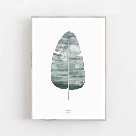 Aquarell Musa Basjoo Blatt - Kunstdruck botanik Kunstdruck Grüner Blatt Illustration DIN A2 (42 x 59,4 cm)