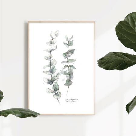Aquarell Eukalyptus Zweigen Kunstdruck skandinavischer Kunstdruck DIN A5 (14,8 x 21 cm)