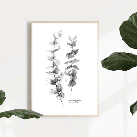 Aquarell Eukalyptus Zweigen in Schwarz-Weiss Kunstdruck skandinavischer Kunstdruck 40 x 50 cm