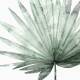 Aquarell Palmblatt druck moderner botanischer Druck moderner Druck 30 x 40 cm
