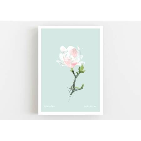Magnolienblüte geschlossen Kunstdruck Weisse Frühlingsblume Druck DIN A3 (29,7 x 42 cm)