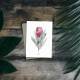 Postkarte Watercolor Protea botanische Postkarte ohne Umschlag