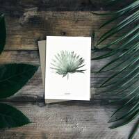 Postkarte Palmblatt botanische postkarte mit Umschlag