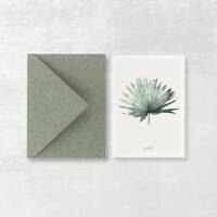 Postkarte Palmblatt botanische postkarte mit Umschlag