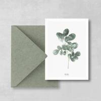 Postkarte Moringa Zweig botanische Postkarte ohne Umschlag