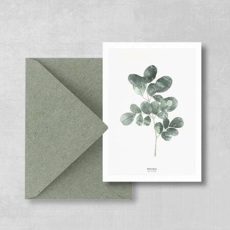 Postkarte Moringa Zweig botanische Postkarte mit Umschlag