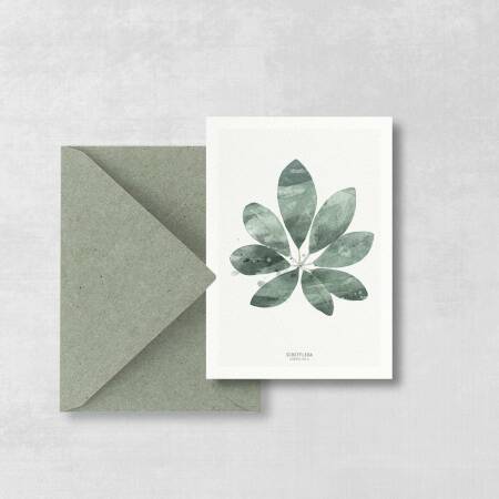 Postkarte Schefflera Blatt botanische Postkarte ohne Umschlag