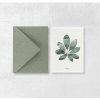 Postkarte Schefflera Blatt botanische Postkarte mit Umschlag