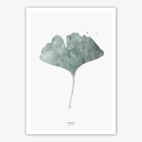 Set von 2 botanischen Kunstdrucken Gingko Biloba Blatt und Eukalyptus 2ge Wandkunst A3 (29,7 x 42 cm)