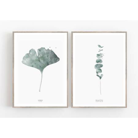 Set von 2 botanischen Kunstdrucken Gingko Biloba Blatt und Eukalyptus 2ge Wandkunst A2 (42 x 59,4 cm)