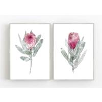 Set von 2 Protea Blüten Kunstdrucken botanische...