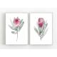 Set von 2 Protea Blüten Kunstdrucken botanische Kunstdrucke A5 (14,8 x 21 cm)