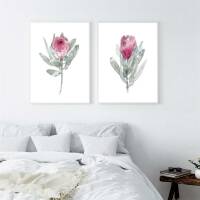 Set von 2 Protea Blüten Kunstdrucken botanische Kunstdrucke A4 (21 x 29,7 cm)