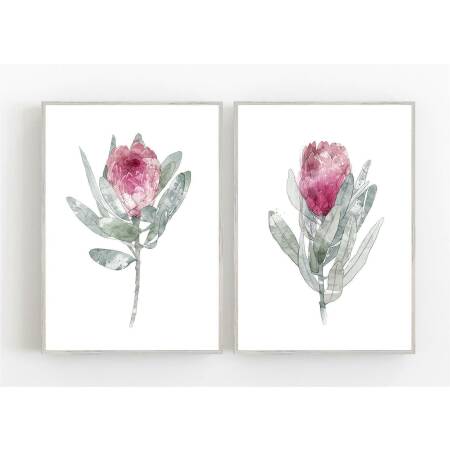 Set von 2 Protea Blüten Kunstdrucken botanische Kunstdrucke 30 x 40 cm