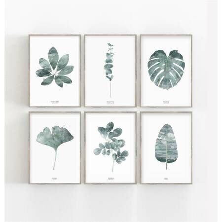Set von 6 botanischen Kunstdrucken moderne Blätter Kunstdrucke Wandkunst A1 (59,4 x 84,1 cm)