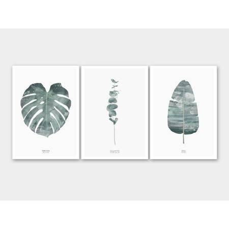 Set von 6 botanischen Kunstdrucken moderne Blätter Kunstdrucke Wandkunst A1 (59,4 x 84,1 cm)