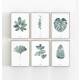 Set von 6 botanischen Kunstdrucken moderne Blätter Kunstdrucke Wandkunst 40 x 50 cm