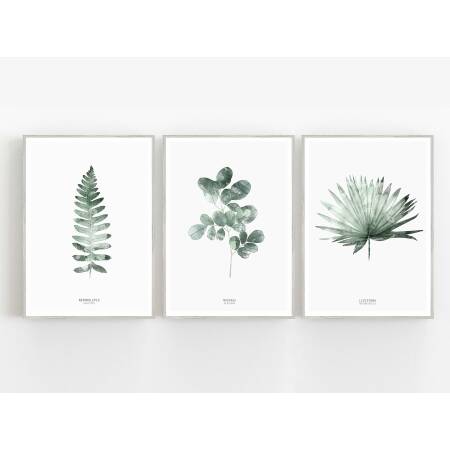 Set von 3 botanischen Kunstdrucken Blätter Kunstdruck skandinavische Wandkunst Drucke A2 (42 x 59,4 cm)