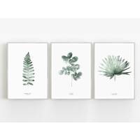 Set von 3 botanischen Kunstdrucken Blätter Kunstdruck skandinavische Wandkunst Drucke A2 (42 x 59,4 cm)